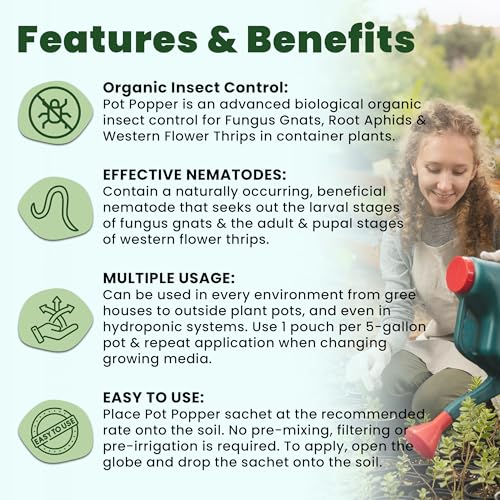 The Environmental Factor عامل البيئة لمنتج بوبير للتحكم في الحشرات العضوية. التحكم البيولوجي في الآفات باستخدام النيماتودا ذات الإفراز البطيء ليرقات ذبابة الفطر، والمن الجذري، وثربس الزهور الغربي في الحاويات - 50 كيسًا - Image 3