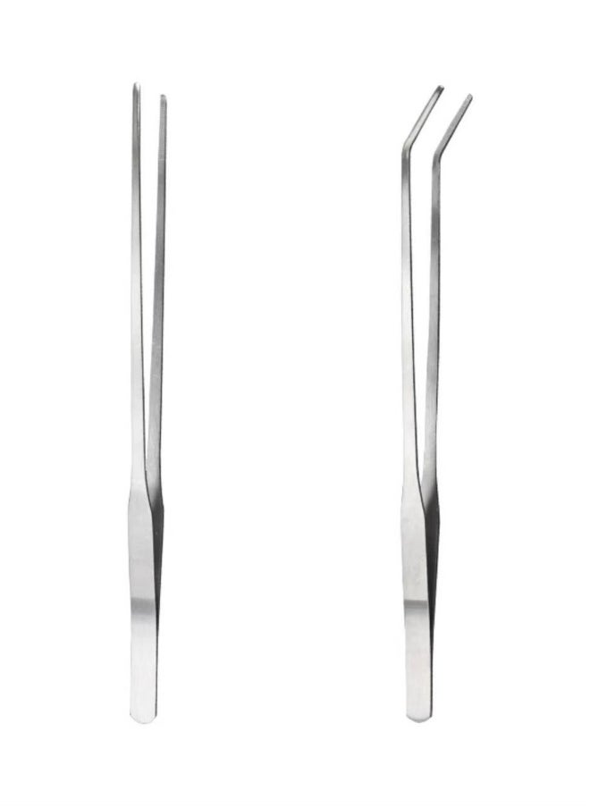 Generic 2 Pcs Feeding Tongs，Stainless Steel Long Tweezers Forceps Straight and Curved Tweezers Set，for Aquarium Reptile, Plant, Snakes, Lizards  - Image 1
