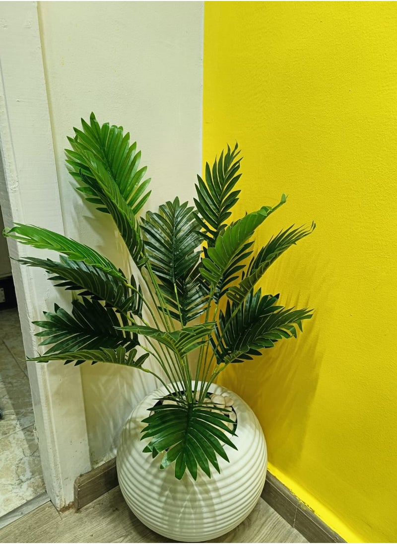 Generic Artificial cycas tree  - Image 1