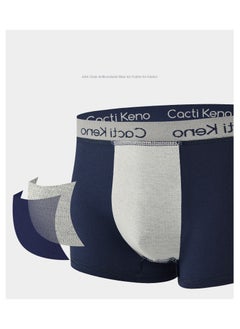 Cacti Keno 4-Piece Boxer Briefs Set Multicolour  - Image 3