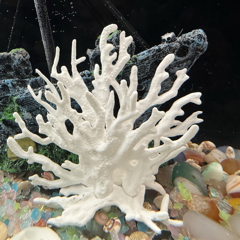 أكريليك زينة محيطية على شكل نجمة مرجانية زرقاء قطعة واحدة لديكور حوض السمك ومشهد البحر وغرفة الزينة - Image 3