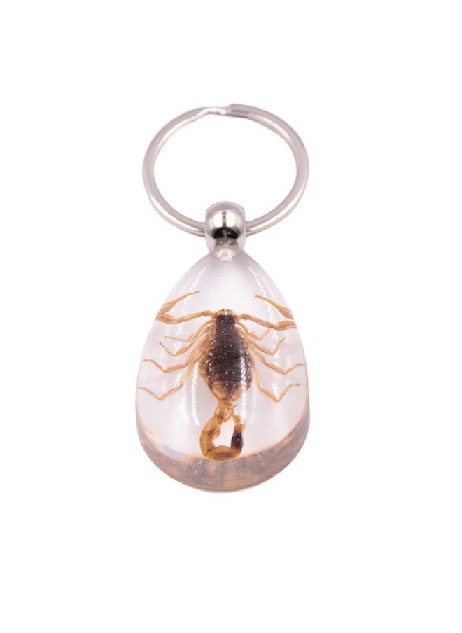 Generic - 1PC New Resin Insect Keychain Scorpion Insect Specimen Pendant Random Color Cute Keychain-Color:Red bean spider - Image 1