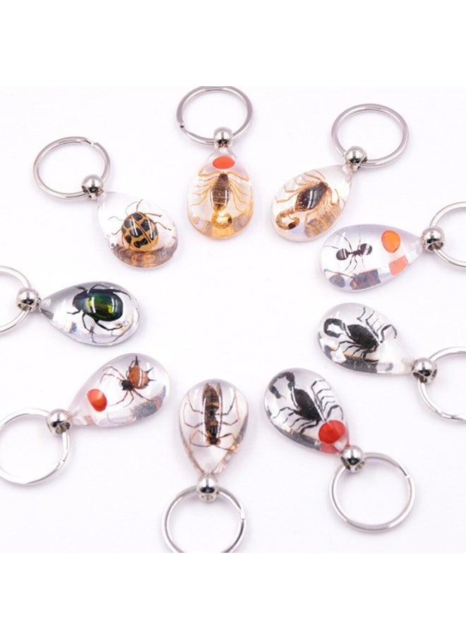 Generic - 1PC New Resin Insect Keychain Scorpion Insect Specimen Pendant Random Color Cute Keychain-Color:Red bean spider - Image 1
