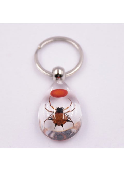 1PC New Resin Insect Keychain Scorpion Insect Specimen Pendant Random Color Cute Keychain-Color:Red bean spider
