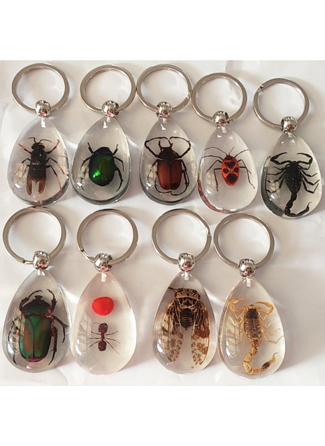 Generic - 1PC New Resin Insect Keychain Scorpion Insect Specimen Pendant Random Color Cute Keychain-Color:Red bean spider - Image 1
