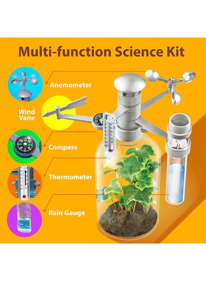 4M Green Science Weather Station Kit – Build & Use Thermometer, Rain Gauge, Wind Vane & Mini Terrarium to Explore Weather, Climate and Greenhouse Effects – STEM Learning Tool Ages 5+ | 00-03279 - Image 4
