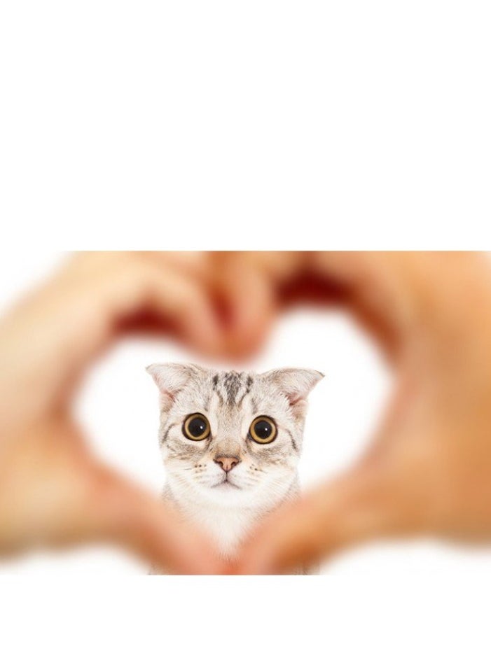 Lider - Cat Plus litter for cats coffee scent 5 L - Image 1
