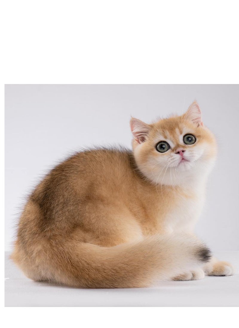 Lider - Cat Plus litter for cats coffee scent 5 L - Image 1