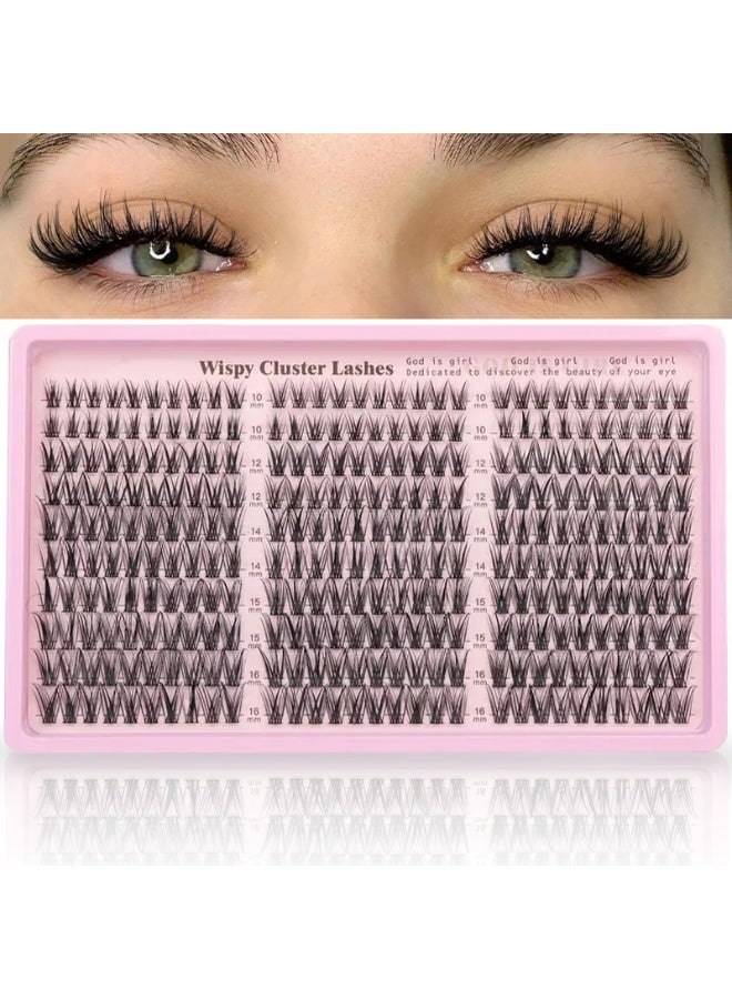 Noorly Lash Clusters Kit Wispy Eyelash Clusters Lashes Natural DIY Lash Extension Kit 10-16mm Cluster Eyelash Extensions Kit 300pcs C Curl Individual Lashes Cluster Eyelash - Image 1