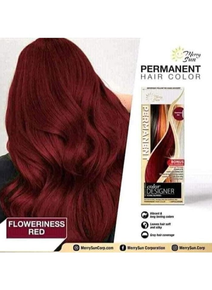 merry sun - Hair Coloring Kit Red - Image 1