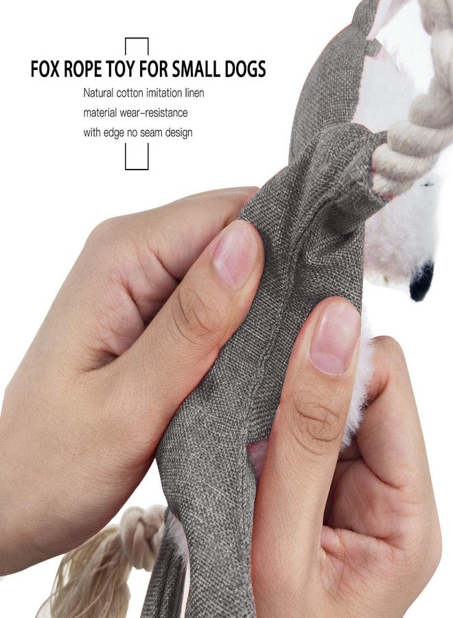 Petgoof™ Dog Chew Toy Bite Plush Squeaky Dog Toy Fox Squirrel Raccoon with Crackle Paper (Grey) - Image 3