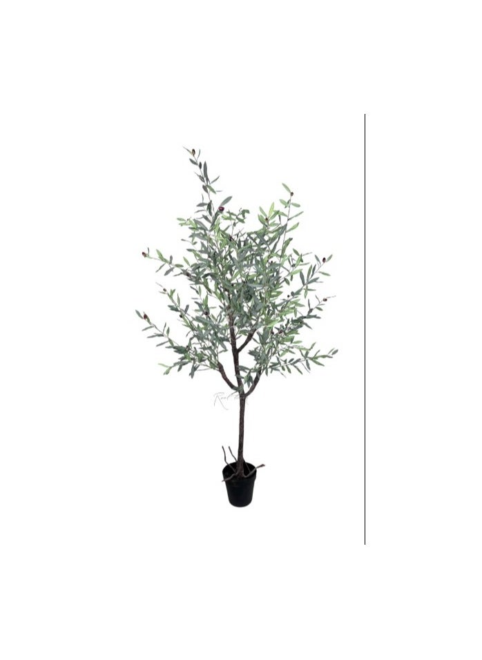 HRT WALL Olive tree in a flowerpot - green 
