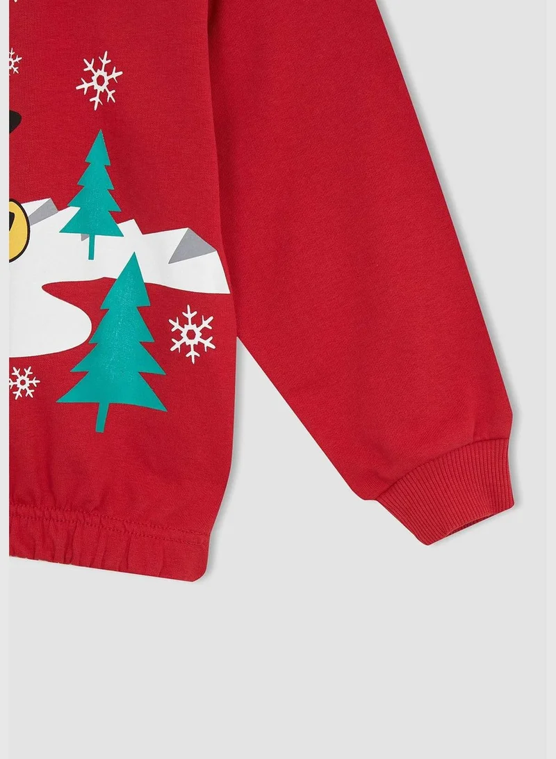 DeFacto Regular Fit Long Sleeve Penguin Print Knit Jumper