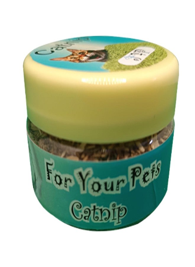 FOR YOUR PETS مزيج فاخر من النعناع البري العضوي النقي 100% من جبال الهيمالايا الوسطى - مكافآت نعناع بري غير مسببة للإدمان لتعزيز مرح القطط، طبيعي 100%. مثالي لتكملة ألعاب النعناع البري. - Image 1