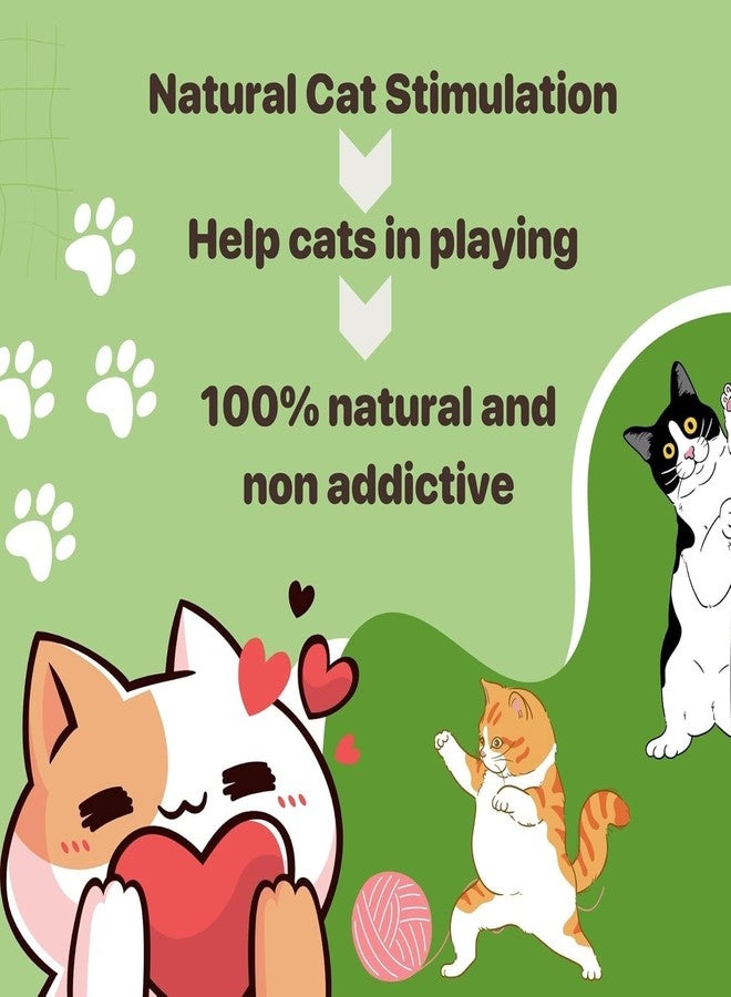 FOR YOUR PETS مزيج فاخر من النعناع البري العضوي النقي 100% من جبال الهيمالايا الوسطى - مكافآت نعناع بري غير مسببة للإدمان لتعزيز مرح القطط، طبيعي 100%. مثالي لتكملة ألعاب النعناع البري. - Image 3