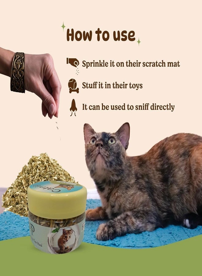 FOR YOUR PETS مزيج فاخر من النعناع البري العضوي النقي 100% من جبال الهيمالايا الوسطى - مكافآت نعناع بري غير مسببة للإدمان لتعزيز مرح القطط، طبيعي 100%. مثالي لتكملة ألعاب النعناع البري. - Image 4