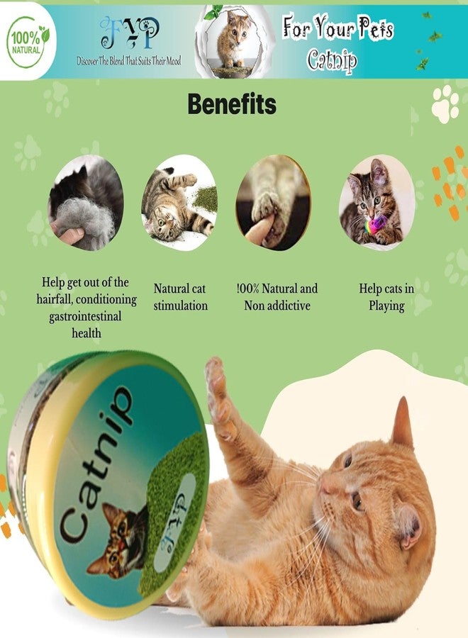 FOR YOUR PETS مزيج فاخر من النعناع البري العضوي النقي 100% من جبال الهيمالايا الوسطى - مكافآت نعناع بري غير مسببة للإدمان لتعزيز مرح القطط، طبيعي 100%. مثالي لتكملة ألعاب النعناع البري. - Image 2