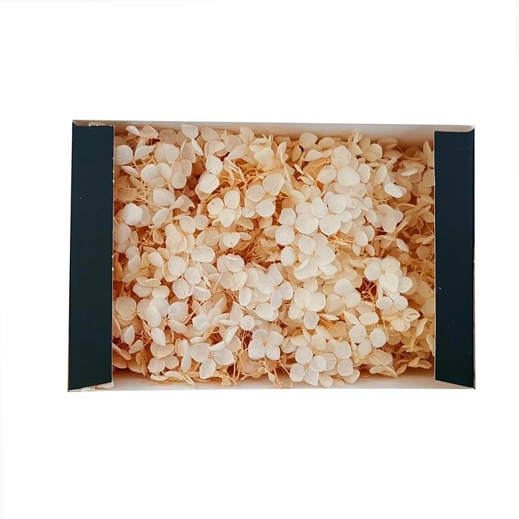 Y&D Preserved Real Touch Hydrangea in Box – Long-Lasting Dried Plants for Wedding, Party & Festival Decor, DIY Gift Bouquet - Image 1