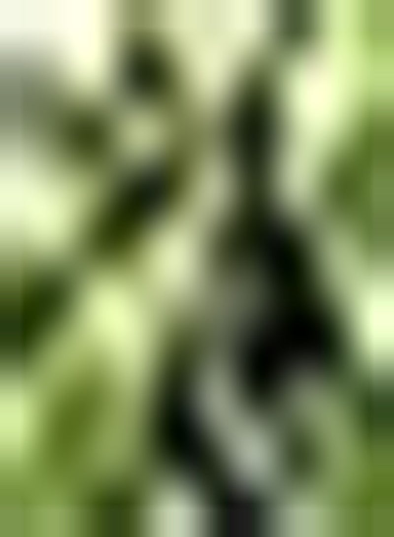 GGOOT 5pcs Chestnut Seeds Make People Impressive Entertaining Friends Relatives Entry Level Ornamental Trees Bring Intuitive Experience - Image 1