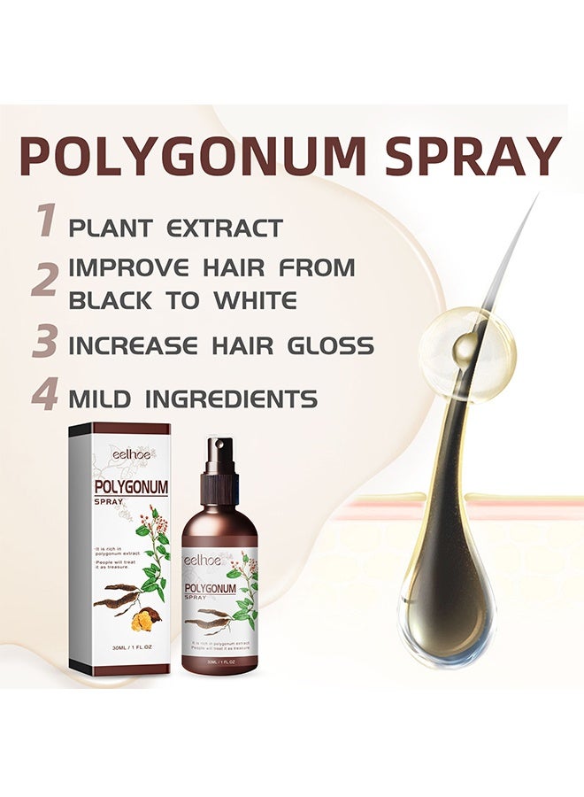 EELHOE Polygonum Spray - Herbal Gray Hair Reverse Spray, Grey Hair Smoothing & Darkening, Polygonum multiflorum Hair Conditioner Serum for Growth, For Women & Men Hair Thinning and Loss, Boost Natural Black Color Mist - Image 2
