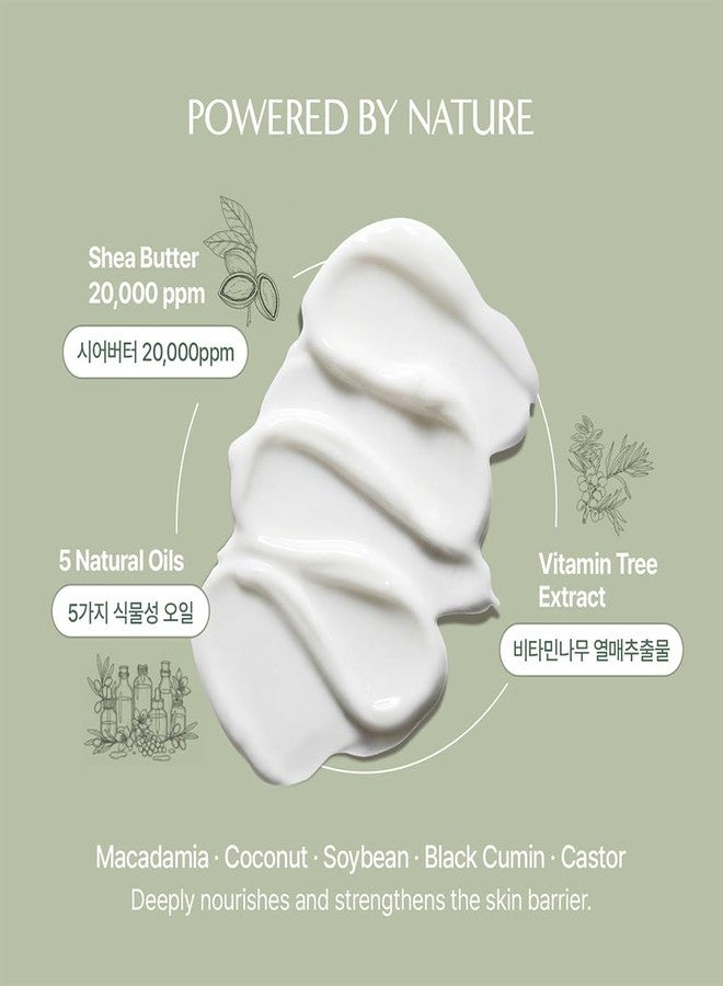 SONREVE Family Body Cream - Thick but Fast-Absorbing, Non-Greasy Hydration | Fragrance-Free | Safe for Babies, Kids & Adults | Hypoallergenic Moisturizer for Dry & Sensitive Skin - Image 4