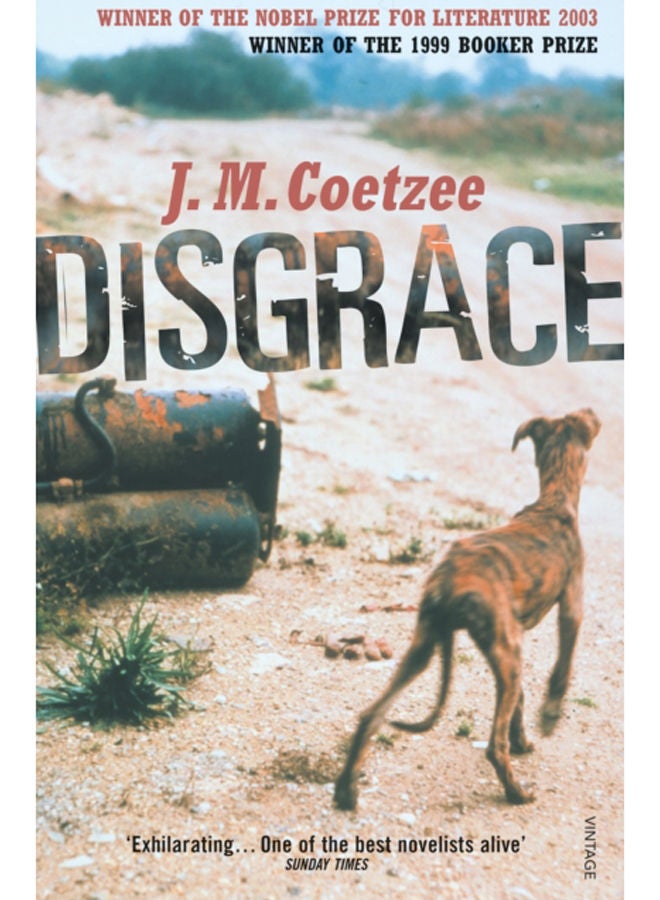 Disgrace : A BBC Radio 4 Good Read 