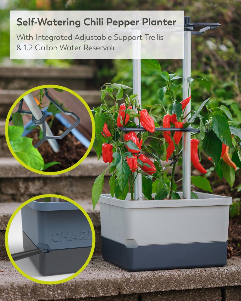 BUZZY Seeds Charly Chili Self-Watering Planter with Vertical Trellis â€“ 1.2 Gal Reservoir, Large Capacity Planter for Chili Peppers, Bell Peppers & Eggplants (Grey) - Image 2