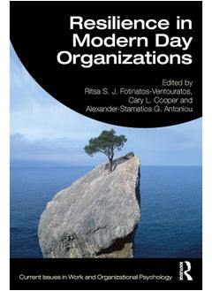 Resilience in Modern Day Organizations 