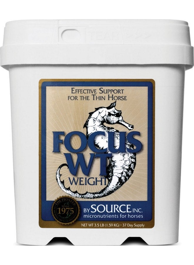 المصدر التركيز على الحيوانات الأليفة