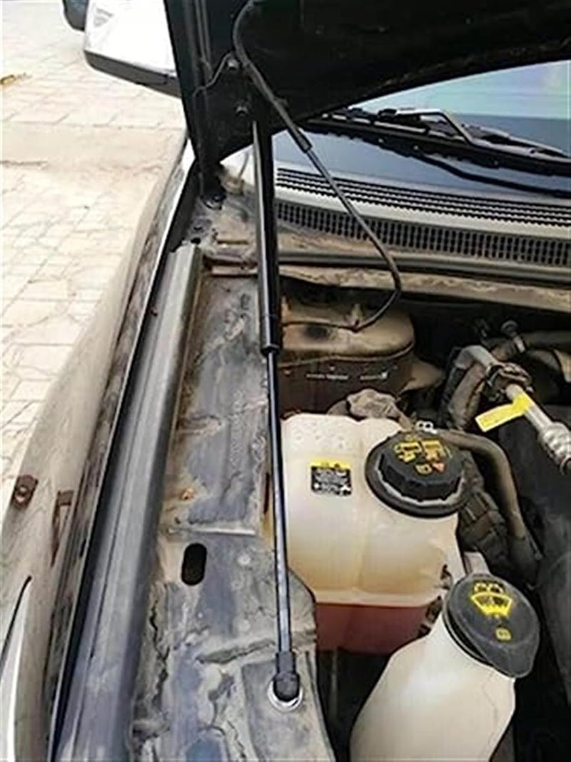 DEMULAX Carbon Fiber Hood Lift Kit for Ford Edge - Image 2