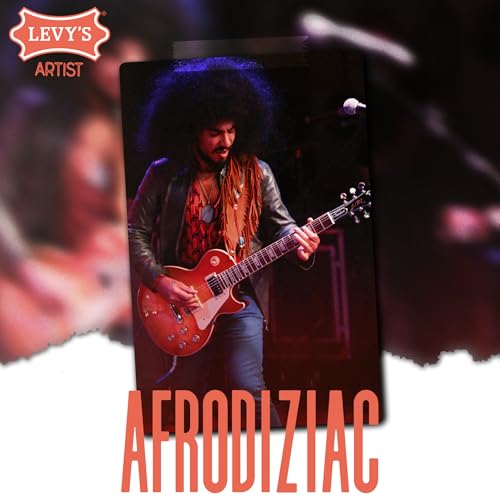 Levy's Leathers MS17AIF-004 Guitar Strap - Image 5