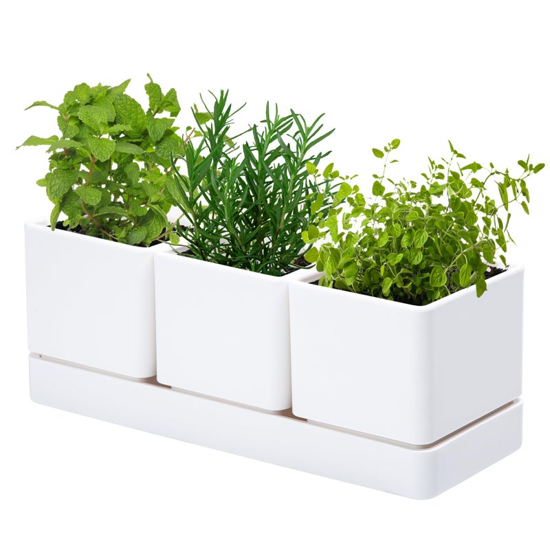 D'vine Dev Herb Garden Planter Set, Plastic Plant Pots with Drainage and Saucer, Indoor Succulent Cactus Vegetable Pot for Windowsill, Garden Balcony, White, Set of 1, 76-V-A-1 - Image 1