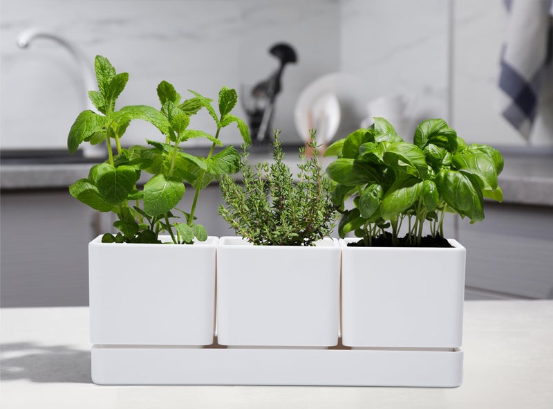 D'vine Dev Herb Garden Planter Set, Plastic Plant Pots with Drainage and Saucer, Indoor Succulent Cactus Vegetable Pot for Windowsill, Garden Balcony, White, Set of 1, 76-V-A-1 - Image 2