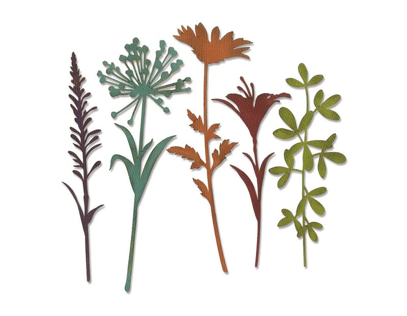 Sizzix Thinlits Die Set Wildflower Stems 2 by Tim Holtz 5 Pack One Size Multicolor 5 Piece