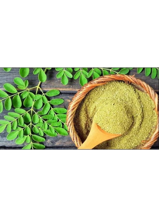 Herbs Natural Moringa Leaf Powder – 250g – Fine Powder for Skin & Hair Care - Image 2