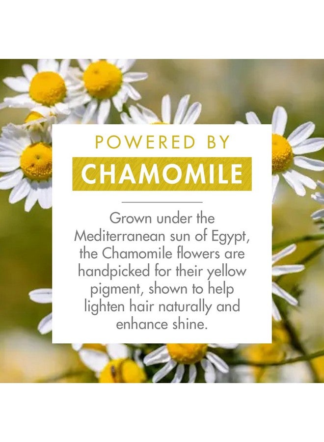 كلوران - شامبو مفتح بالبابونج - يعزز خصلات الشعر ويمنحه إشراقة - خالٍ من بيروكسيد الهيدروجين والأمونيا والسيليكون والبارابين والكبريتات - 13.5 أونصة سائلة. - Image 3