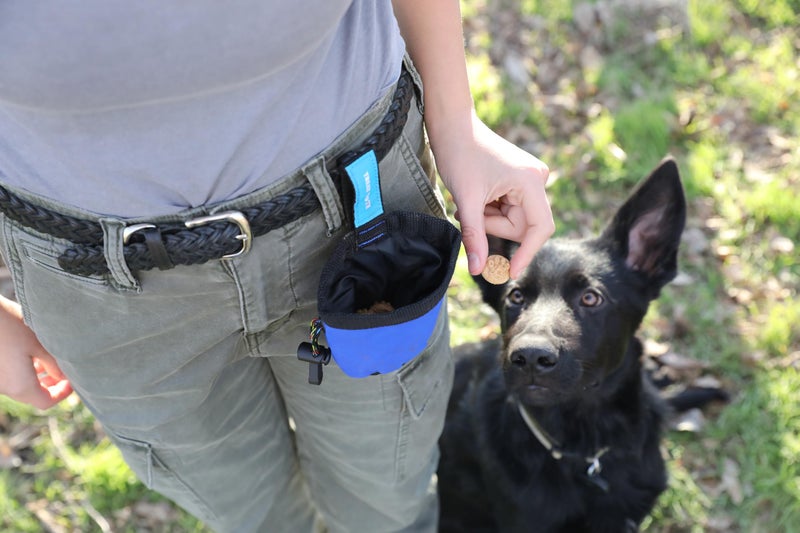 Chuckit! Treat Tote Dog Treat Pouch for Puppy Training, 1 Cup Capacity, Assorted Colors - Image 2