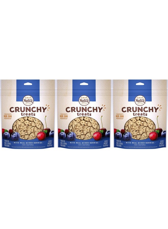 Nutro 3 Pack Of Crunchy Dog Treats With Real Mixed Berries, 16 Ounces Each, NonGmo - Image 1
