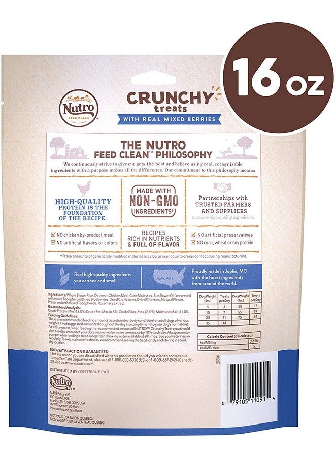 Nutro 3 Pack Of Crunchy Dog Treats With Real Mixed Berries, 16 Ounces Each, NonGmo - Image 2