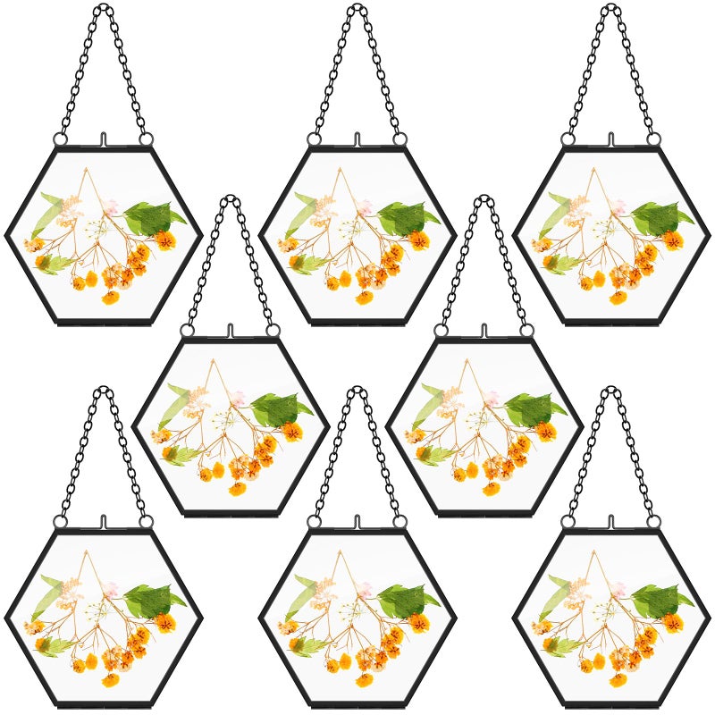 Marsui 8 Pcs Pressed Flower Frames 4 x 3 Inch Hanging Glass Floating Photo Frames Glass for Pressed Flowers Double Picture for Artwork Display Photo Modern Home Wall DecorBlack