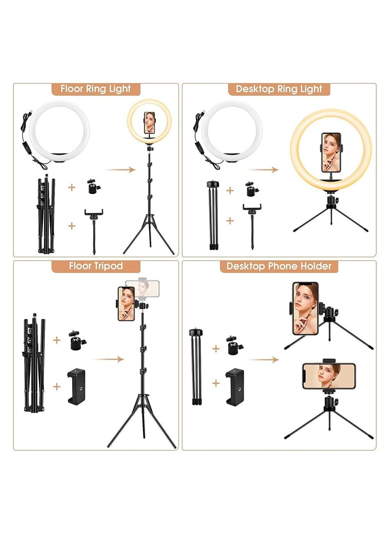 10 inch Ring Light with Floor Tripod and Desk Stand for LED Circle Light with Phone Holder, for Photo Selfie, Video Recording - Image 4