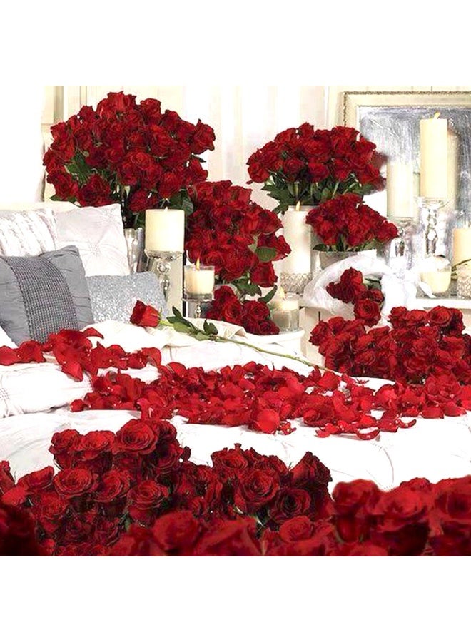 Ferns N Petals Dreamy 300 Red Fresh Roses And Candle Decor 