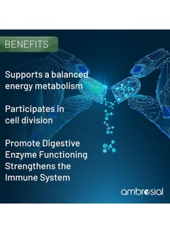 ambrosial Ambrosial Calcium & Vitamin D Tablets | High Potency Calcium Supplement for Bone Health, Muscles & Teeth | High Strength Calcium Tablets (Pack of 1-60 Softgels)  - Image 5
