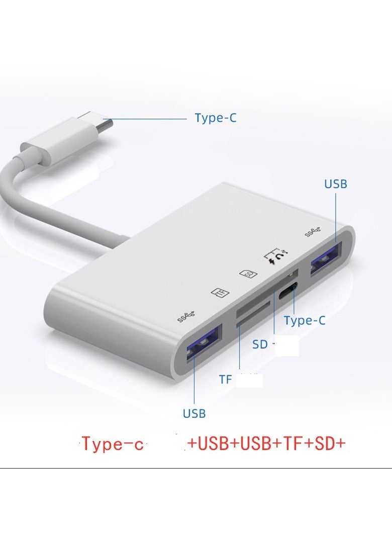Loquat Multifunctional Card Readers  Upgraded Type-C interface 5-in-1 [TF/SD Reading+Dual USB+Charging/Headphones/USB Drive]