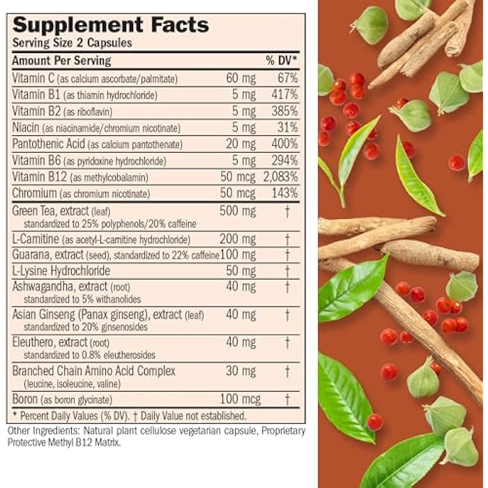 ANDREW LESSMAN Energy and Fat Metabolism Factors 60 Capsules - Promotes Optimum Fat Burning and Energy Metabolism, with Carnitine, Green Tea, Guarana, Ginseng, B-Complex. Easy to Swallow Capsules - Image 2