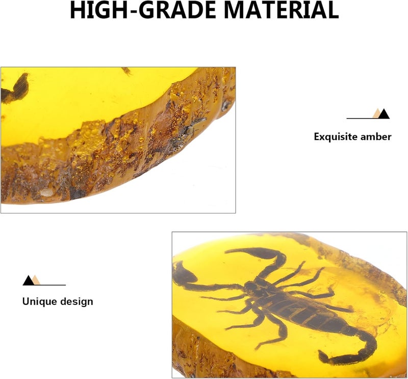 comfrt Amber Fossil with Insects Samples: Amber Insect Specimen Set Crystal Scorpion Specimens Home Decorations Collection Pendant Amber Stone Ornament - Image 2