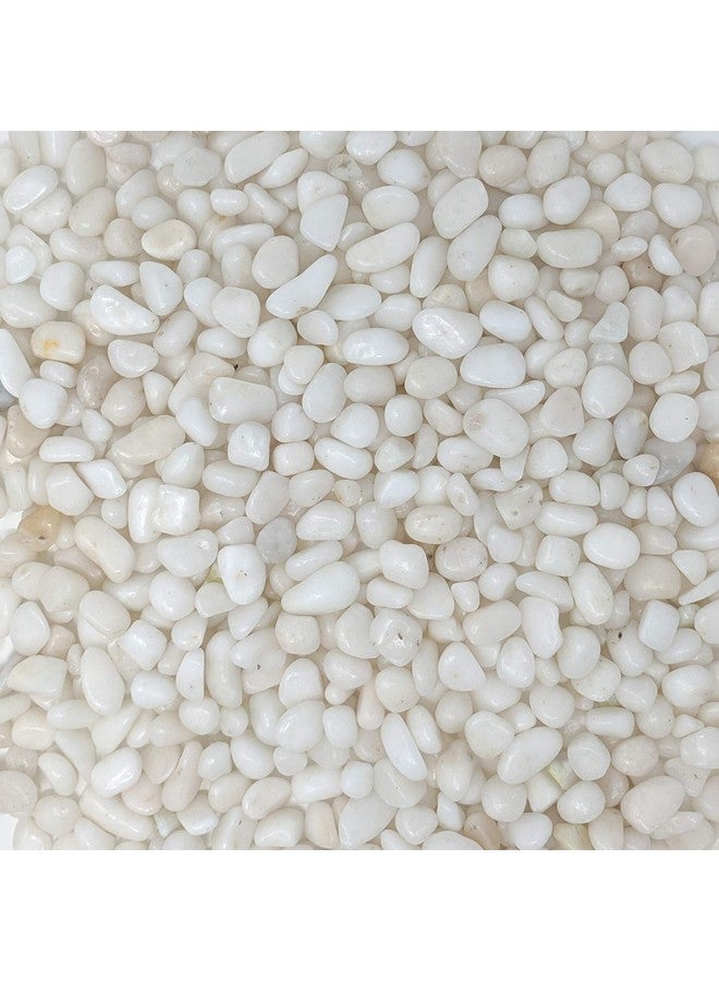 ميدويست هيرث حصى بيضاء مصقولة مزخرفة من ميدويست هيرث، مقاس 3/8 بوصة (كيس 2 رطل) - Image 2