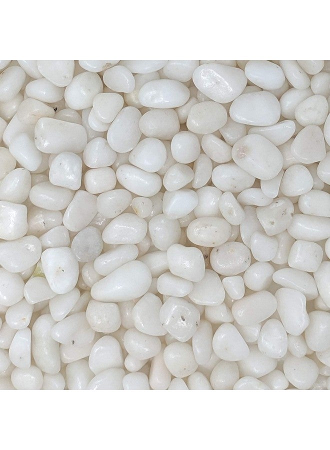 ميدويست هيرث حصى بيضاء مصقولة مزخرفة من ميدويست هيرث، مقاس 3/8 بوصة (كيس 2 رطل) - Image 1