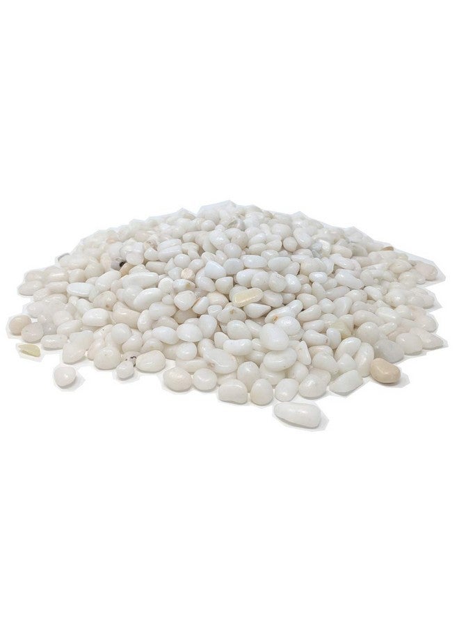 ميدويست هيرث حصى بيضاء مصقولة مزخرفة من ميدويست هيرث، مقاس 3/8 بوصة (كيس 2 رطل) - Image 4