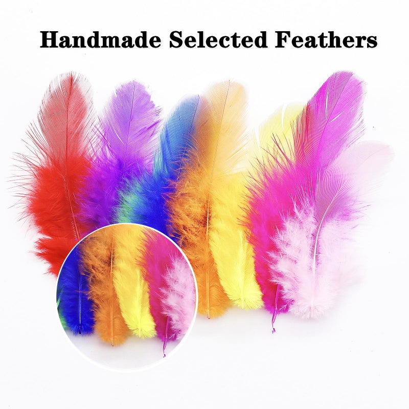 Rasoisof 800Pcs Colorful Craft Rooster Feathers 3-5-inch Bulk Feathers for Crafting Kindergarten DIY Crafts, Wedding, Family Party Decorations, Dream Catcher Supplies, Natural Feathers - Image 4